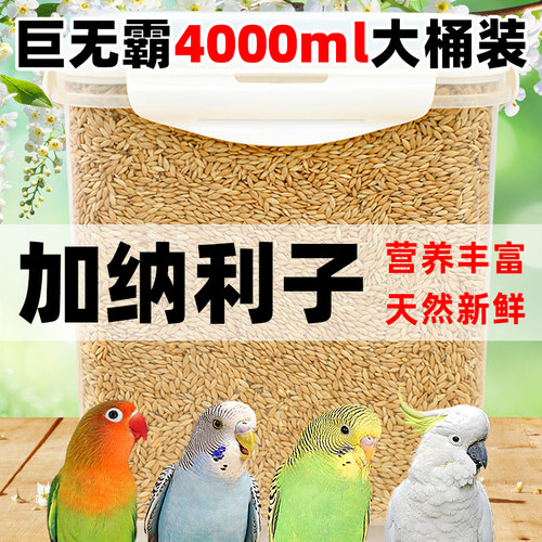虎皮鹦鹉饲料鸟粮黄谷子带壳小米加纳利子鸟食混合粮玄凤牡丹专用