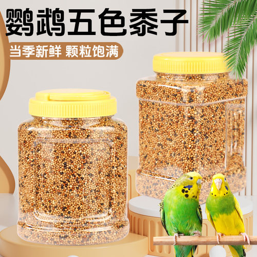 鹦鹉鸟食饲料虎皮玄凤带壳黄谷子五色黍子鹦鹉食物混合营养粮食