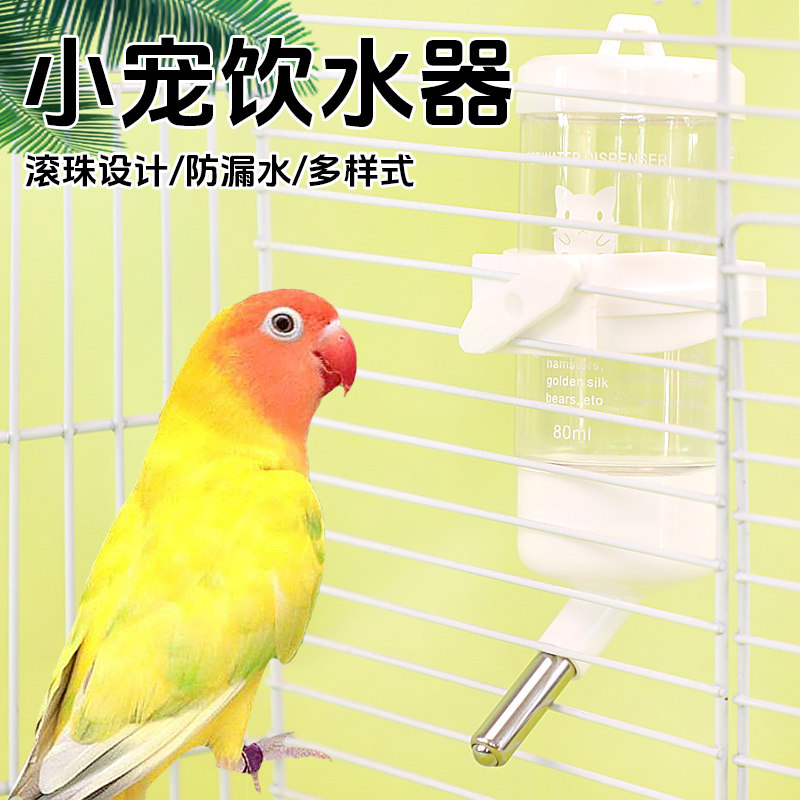 小宠鸟禽喂水器小太阳鹦鹉自动饮水器防漏水塑料80ml鹦鹉喂水器
