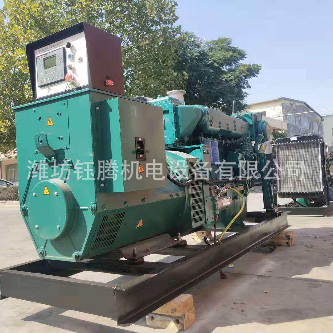 潍坊船机250kw发电系统 250千瓦柴油发电机厂家供应
