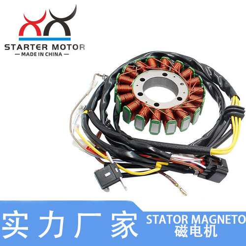 3089546 3089403磁电机 定子线圈适用北极星Polaris Sportsman