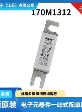 170M7165 170M7166 170M7167 170M7168  原装陶瓷熔断器