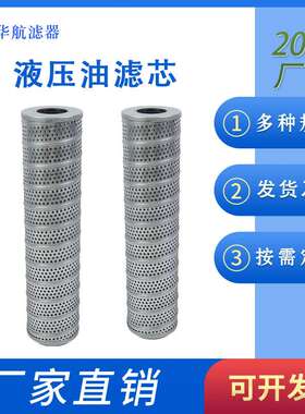 密封油滤芯RTE0250F010N 液压油滤芯 工程机械油滤芯