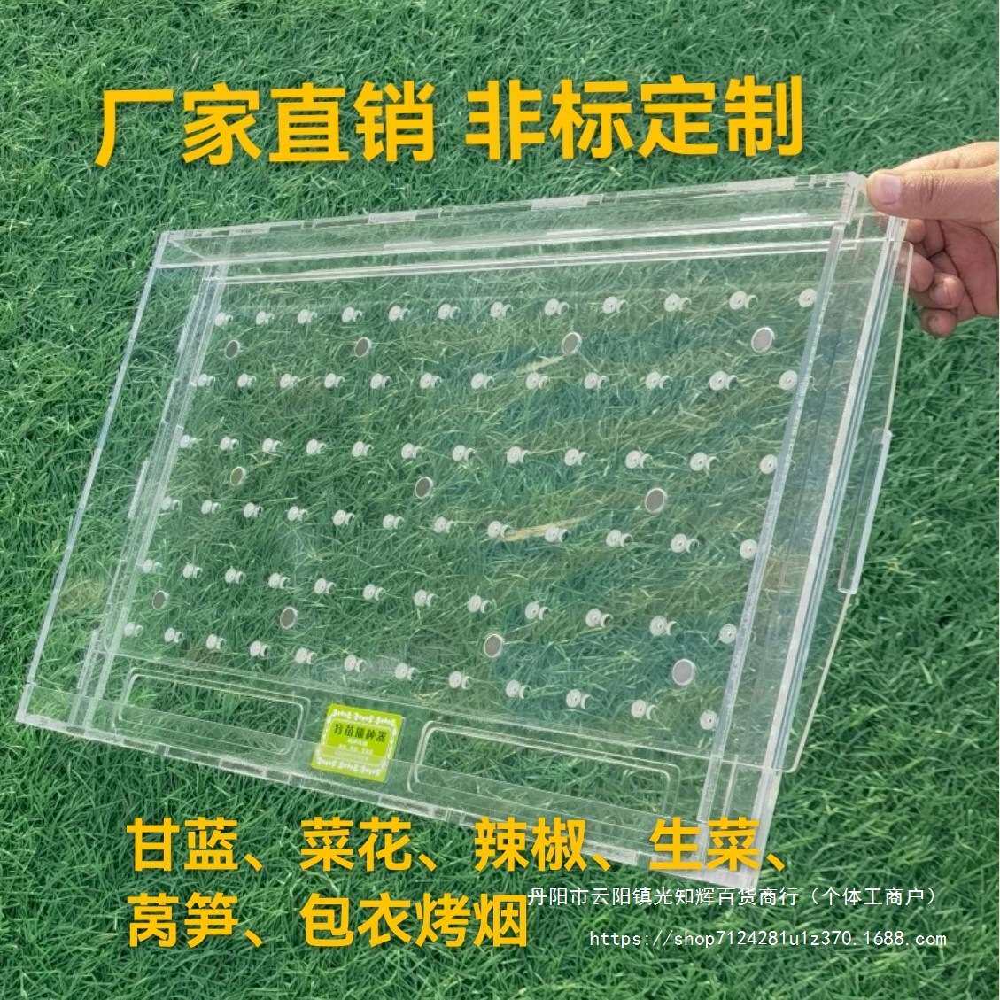 育苗盘播种器播种机穴盘播种器 漂浮盘播种器 播种播种机!