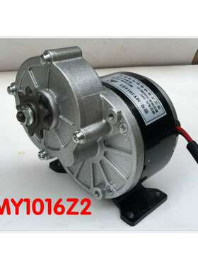 永磁直流减速有刷电机MY1016Z2-250W12v24V36V 电动自行车电机