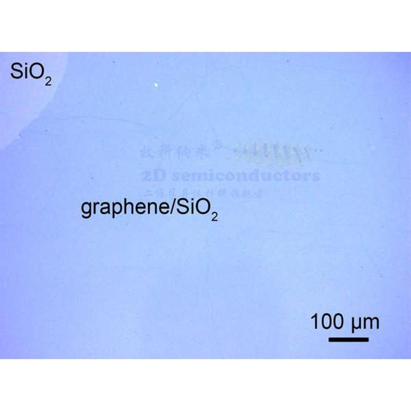 SiO2/Si基单层石墨烯薄z膜-透明石墨烯薄膜-透明导电薄膜