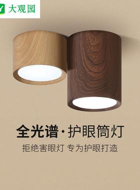 LED明装筒灯客厅天花灯玄关过道灯全光谱护眼客厅无主灯照明L335