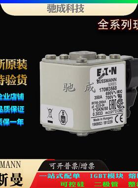 巴斯曼170M3568 170M3569 170M3570 经销直销价优 特种保险丝