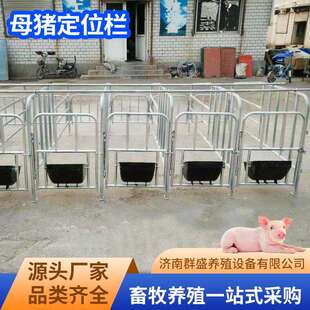 母猪定位栏限位栏猪圈围栏复合漏粪板母猪产床养猪用设备保育
