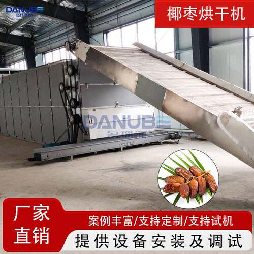 全自动椰枣烘干机连续式海枣波斯枣枣椰子清洗干燥包装全套设备
