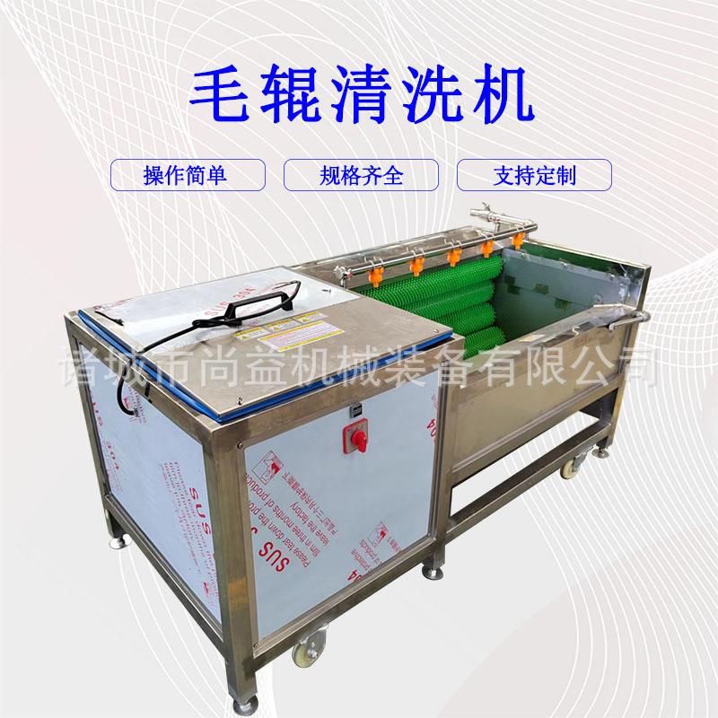 红枣干洗抛光机椰枣去泥去杂清洗设备灰枣U型毛辊清洗机