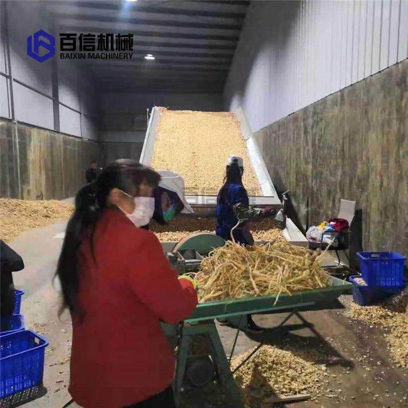 中药材黄芩烘干机连续式黄芩干燥机多层网带中药材烘干设备