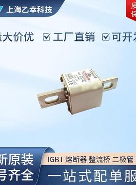 巴斯曼熔断器 170M3907 170M3908 170M3909 170M3910 170M3921