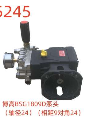 博高BSG1809D泵头（轴径24）（相距9对角24）-55245号