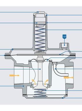 Mertik Maxitrol 气体过滤器 HF2000F100-0-0C