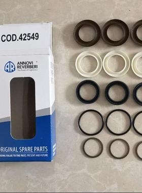 CODE 42549 RR15.25N 15.20N/C 18.16 N/C 意大利AR水泵水封组件