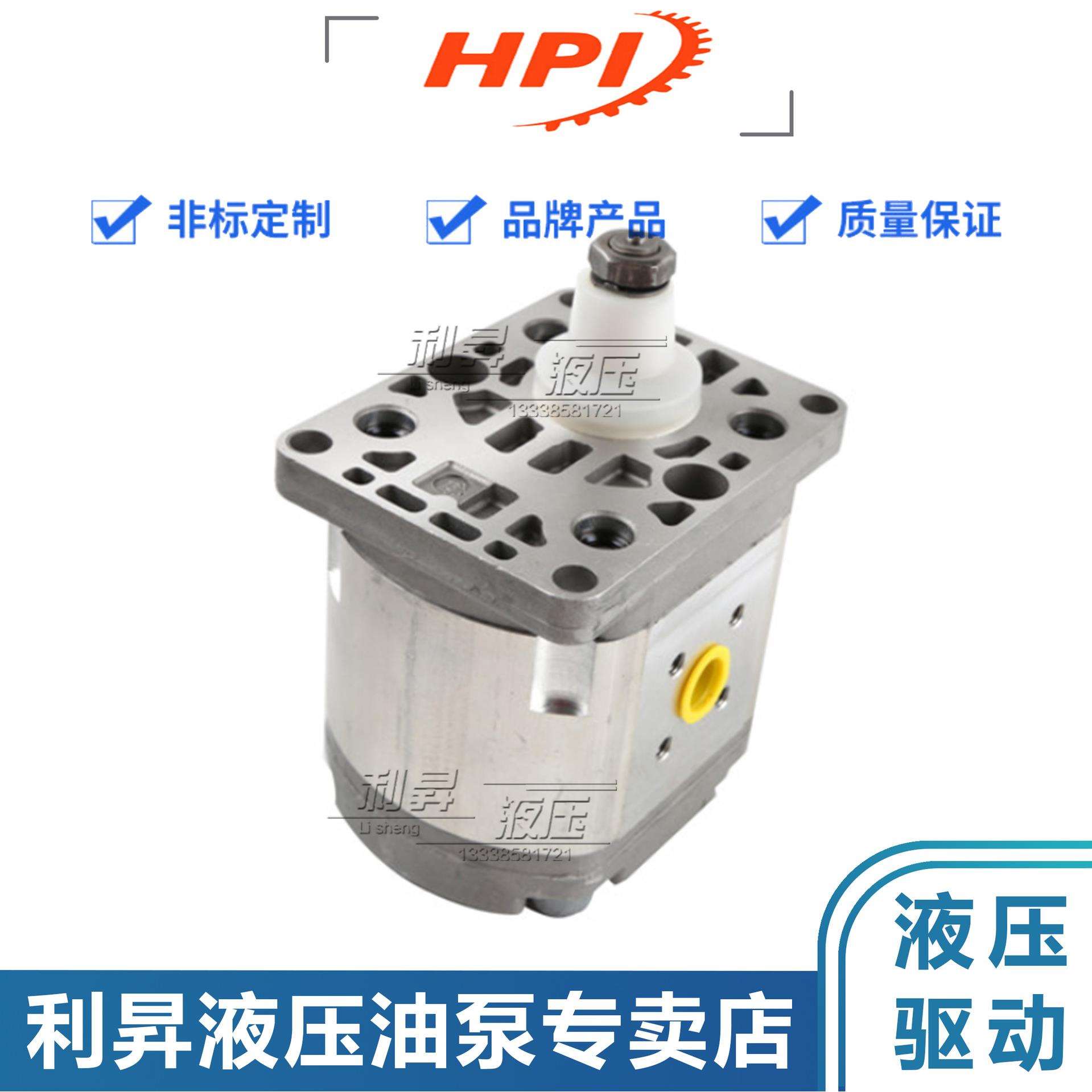 法国HPI液压齿轮泵P1BAN1001/1002/1003/1004/1005/1006油泵马达