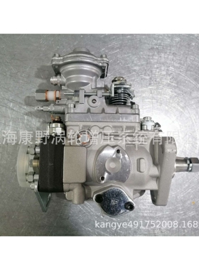 喷油泵 0460414160和0460414217和196000-4191 22100-5D230