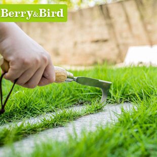 Berry&Bird户外不锈钢庭院石缝夹缝杂草拔草器除草bb园艺工具