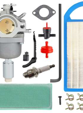 化油器799727 794572 791858 792358 793224 697190 698620 18HP