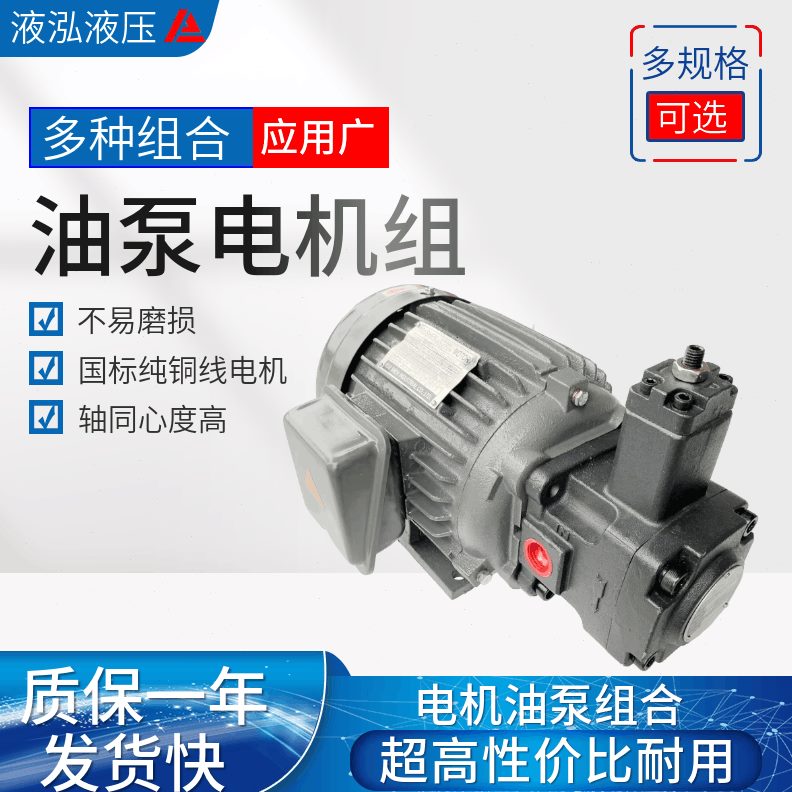 V2.P/75.液压站液压15/1.5KWV/0P30W/P20KV2K电机W配件配油泵