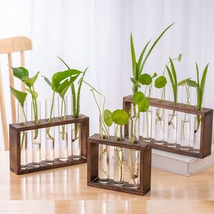 花瓶桌上试管餐桌花瓶容水培的器小花瓶花瓶放插花木架摆一适合排