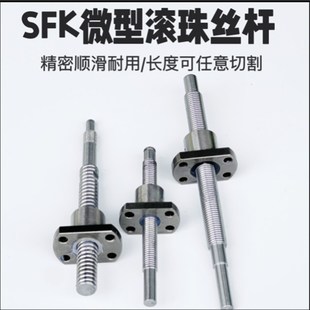 1010 1002 1202 0802H 微小型精密滚珠丝杆螺母SFK0601
