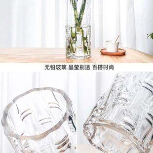 竹子玻璃透明绿植转运竹水培富贵竹客厅插花水养专用花瓶摆件大号