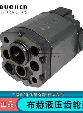 /41119-AP德国//5/21U布B26./ER8赫液压油.齿轮泵.65CH/5/21522泵