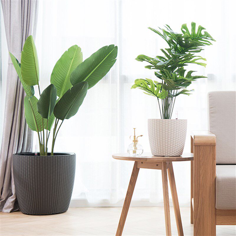 欧式自动吸水储水花盆圆形塑料树脂仿藤编客厅阳台懒人.免浇水花