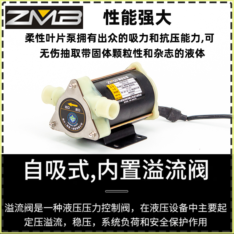 船用自吸舱底泵污水泵船用排水泵直流泵污水自吸泵12v24v鱼缸换水