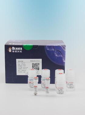 海狸免疫沉淀磁珠 22204-1 Protein A/G磁珠