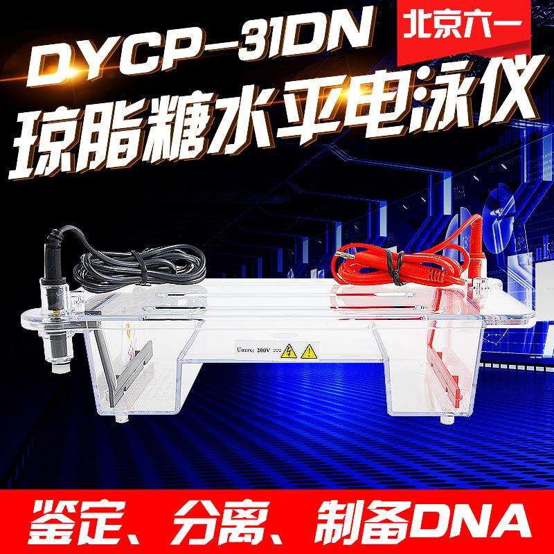 北京六一DYCP-31DN型琼脂糖水平电泳仪小号实验室核酸电泳槽