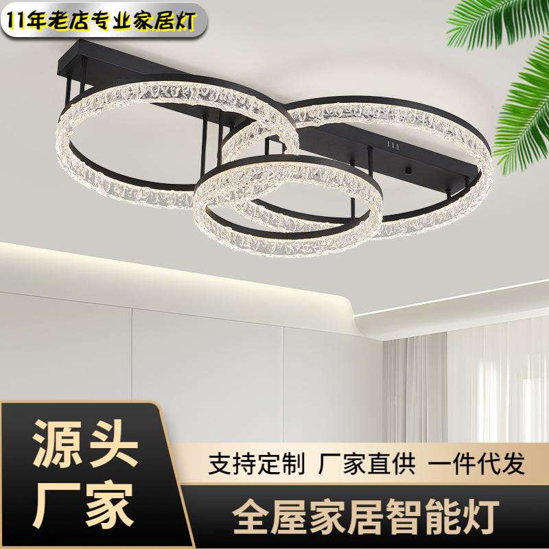 设计师客厅吸顶灯新款主卧室灯意式极简现代简约大气家用2025石头