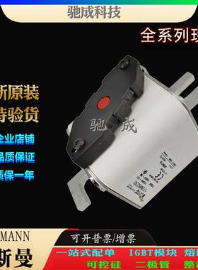 巴斯曼170M6229 170M6237 170M6238 原装进口价优 方体熔断器