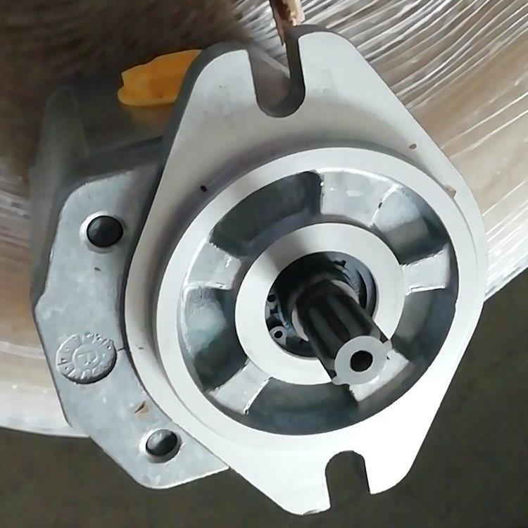 震动泵263-65-01001 压路机震动泵 SR20MP压路机配件