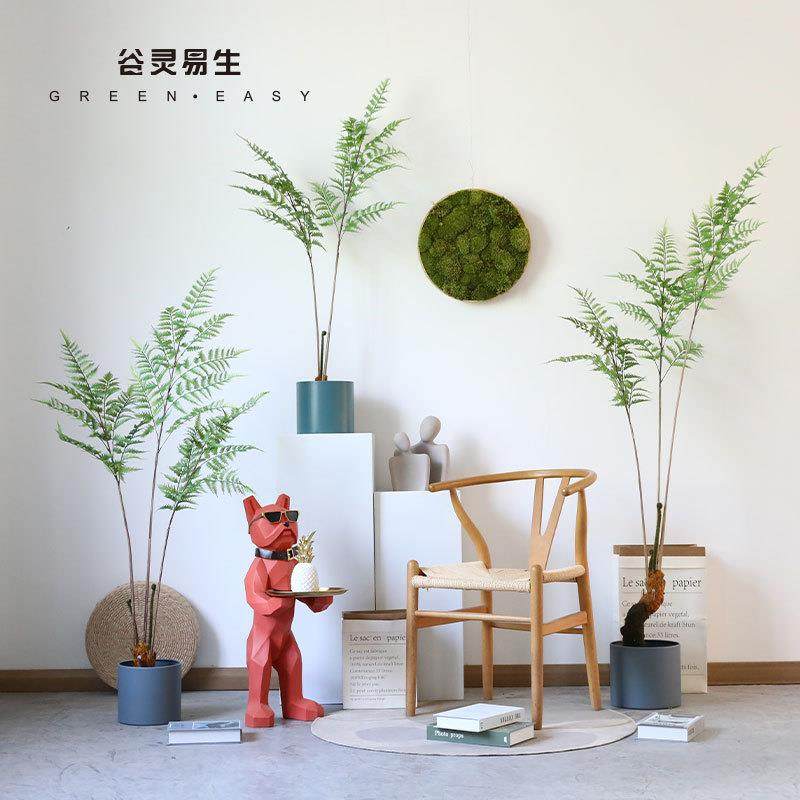 仿真植物蕨叶树金丝猴蕨北欧装饰客厅室内楼梯下落地盆栽绿植摆件,鲜花速递/花卉仿真/绿植园艺,割草机/草坪机,淘宝优惠券,粉丝福利购,淘宝优惠卷