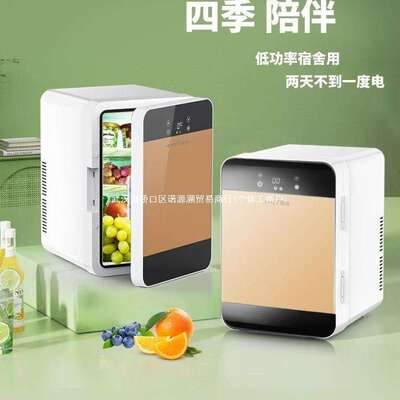 迷你小冰箱载小型家用宿舍办公室学生母乳车家两用冷藏单人用冷冻