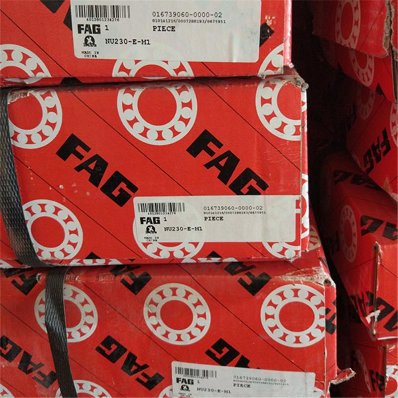 FAG NU230E.M1 德国进口轴承203 204 232 228 226 224 222 E TVP2