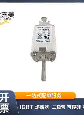 170M3811 170M3811D 快速熔断器 电子元器件 型号齐全 量大价优