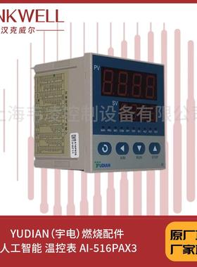 YUDIAN（宇电）燃烧配件 人工智能 温控表 AI-516PAX3