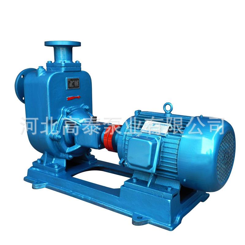 ZW自吸排污泵 ZW125-120-20自吸排污泵 无堵塞自吸排污泵