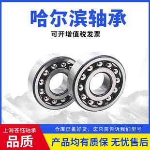 哈尔滨轴承6317 6318 6319 6320 6321 6322 6324高速电机风机轴承