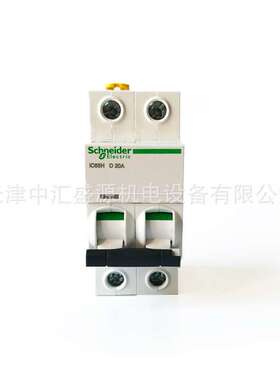 iC65H微型断路器IC65H 2P D20A微断A9F29220小型断路器空气开关