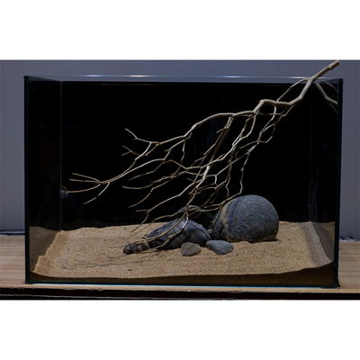 南美鹿角枝鱼缸造景树枝沉木溪流缸枯枝60缸枝条组合鹿角枝沉木