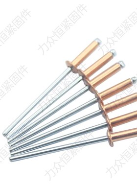 紫铜金色抽芯铆钉圆头拉钉黄色M2.4M3.2M4M4.8*5x6x8x10x12x14x16