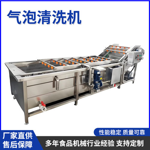 商用定制山楂桑葚草莓柑橘全自动气泡清洗机