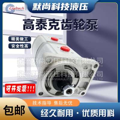 高泰克Galtech齿轮马达2SM-G-140-D-EUR-H-N-10-G齿轮泵 液压马达