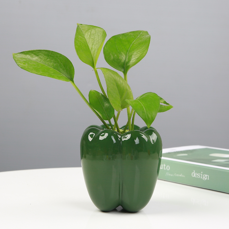 创意陶瓷绿萝水培花瓶现代简约器皿家用客厅办公室鲜X花插花小摆