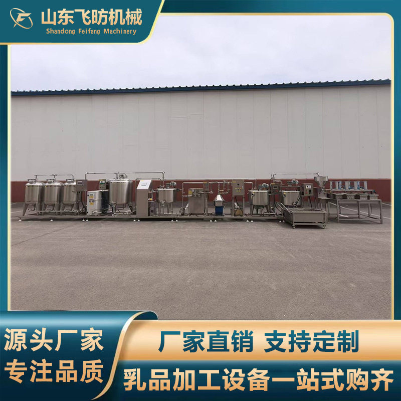 全自动酸奶奶酪块加工设备乳酪奶豆腐生产线小型奶酪发酵成型设备